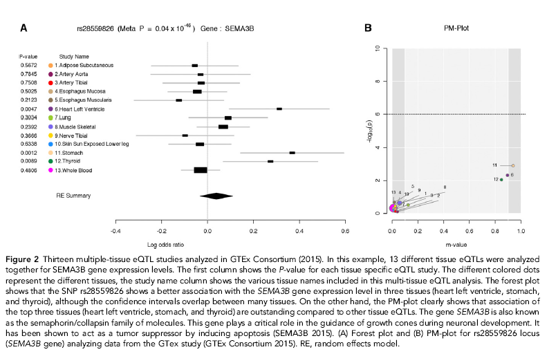 Example of a more complex figure and figure caption in a Results subsection, which aim to explain the advantages of a new visualization tool (Kang et al. 2016).