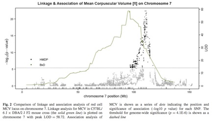 blood-hmdp-figure2