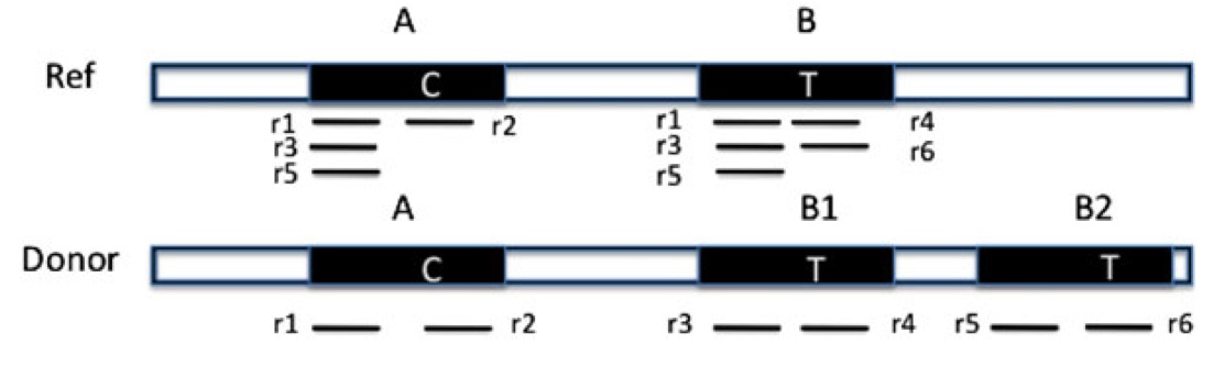 cnvem-figure1