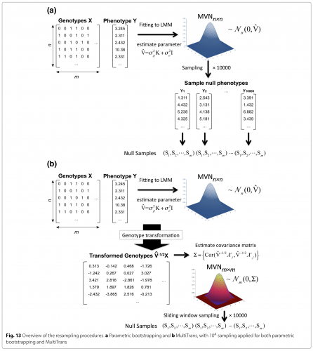 figure-overview