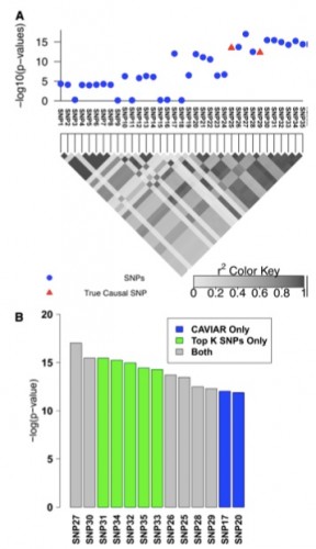 Figure 2 Simulated association with two causal SNPs. (A) The 100-kbp region around the rs10962894 SNP and simulated statistics at each SNP generated assuming two SNPs are causal. In this example SNP25 and SNP29 are considered as the causal SNPs. However, the most significant SNP is the SNP27. (B) The causal set selected by CAVIAR (our method) and the top k SNPs method. We ranked the selected SNPs based on the association statistics. The gray bars indicate the selected SNPs by both methods, the green bars indicate the selected SNPs by the top k SNPs method only, and the blue bars indicate the selected SNPs by CAVIAR only. The CAVIAR set consists of SNP17, SNP20, SNP21, SNP25, SNP26, SNP28, and SNP29. For the top k SNPs method to capture the two causal SNPs we have to set k to 11, as one of the causal SNPs is ranked 11th based on its significant score. Unfortunately, knowing the value of k beforehand is not possible. Even if the value of k is known, the causal set selected by our method excludes SNP30–SNP35 from the follow-up studies and reduces the cost of follow-up studies by 30% compared to the top k method. 