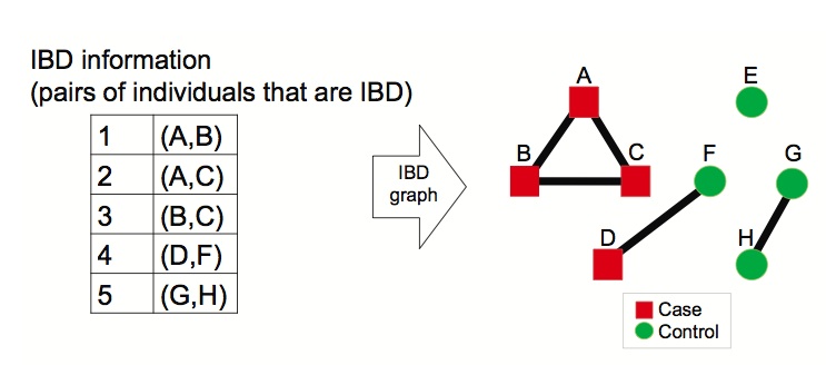 ibd-figure