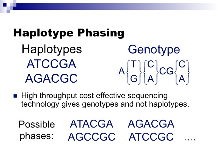 The haplotype phasing problem.